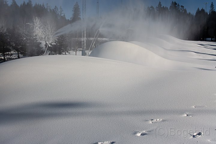 Lassalyckan vinter2.jpg